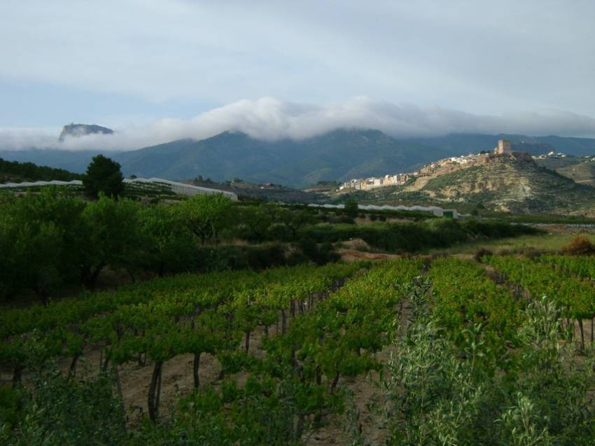 11_III Vuelta (3).jpg