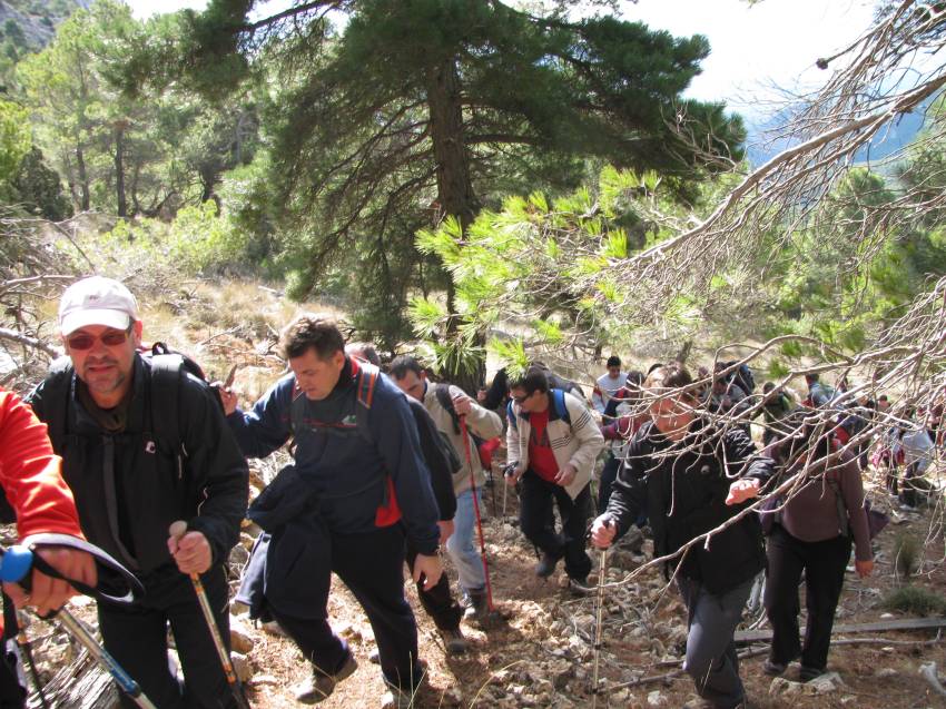 VI Subida al Morron (161).jpg