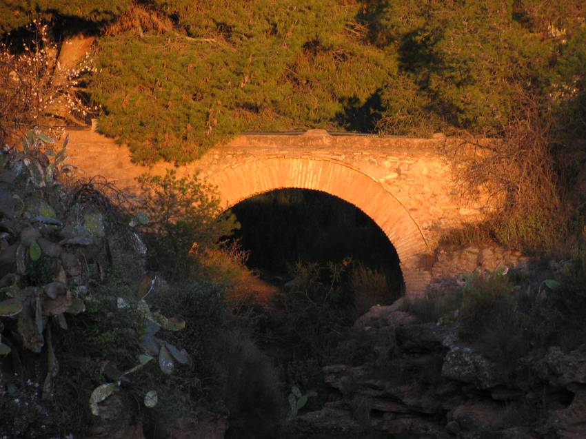 VI Subida al Morron (18).jpg