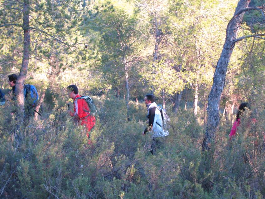 VI Subida al Morron (23).jpg