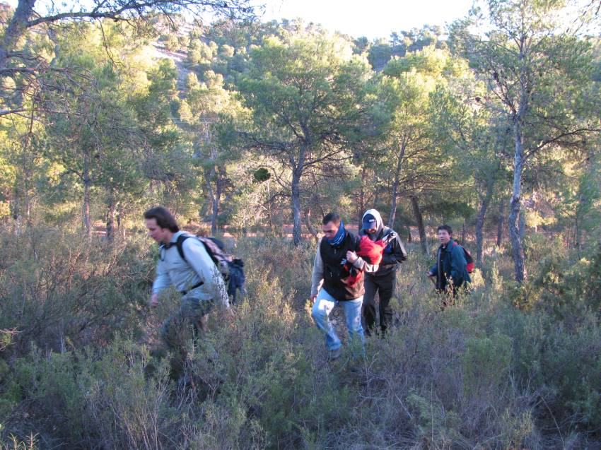 VI Subida al Morron (31).jpg