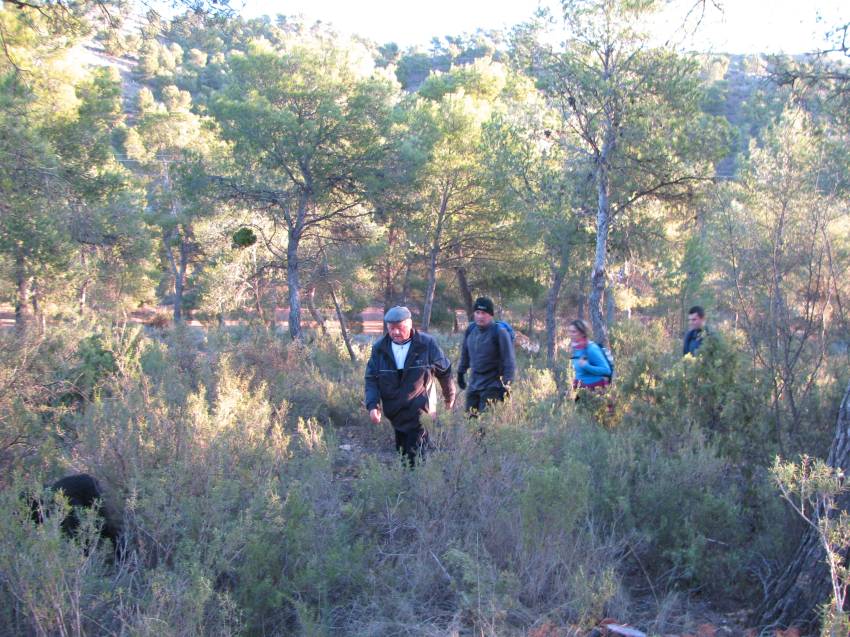 VI Subida al Morron (32).jpg