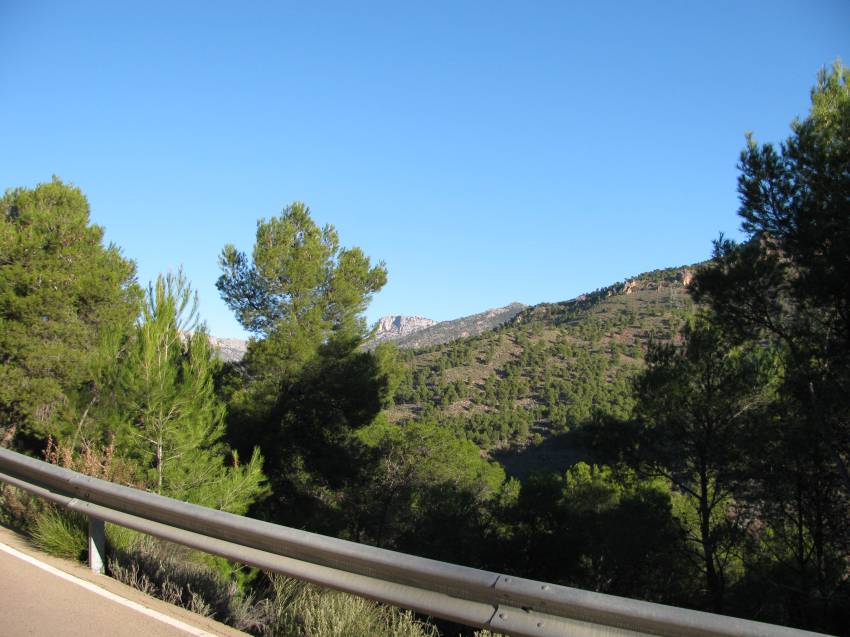 VI Subida al Morron (38).jpg