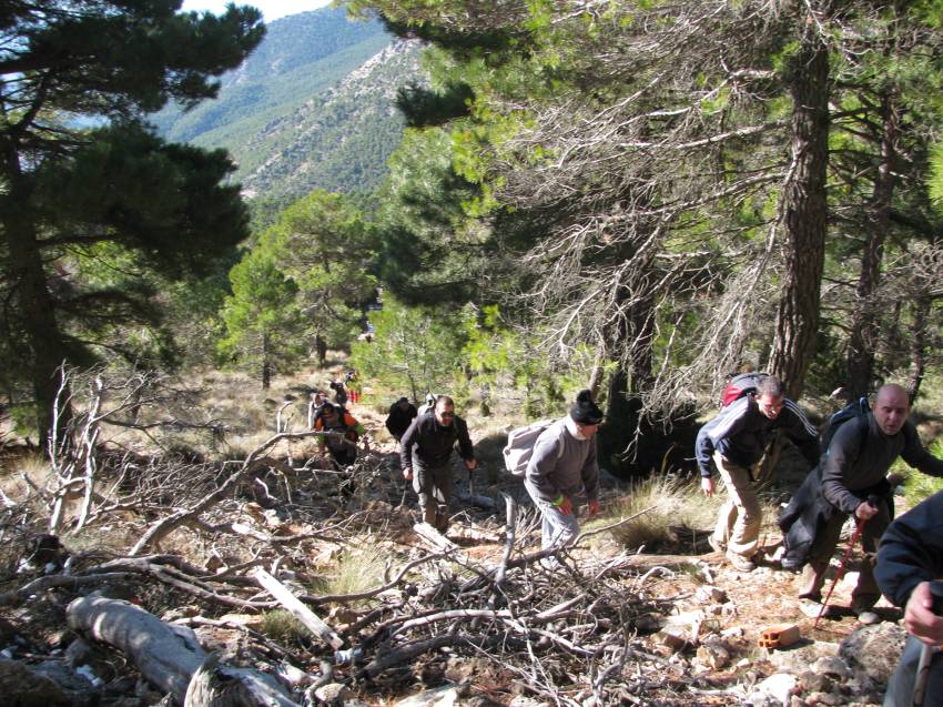 VI Subida al Morron (87).jpg