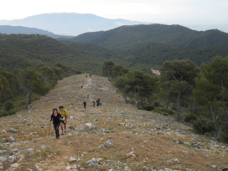 2_Vuelta_perdiz (1).jpg