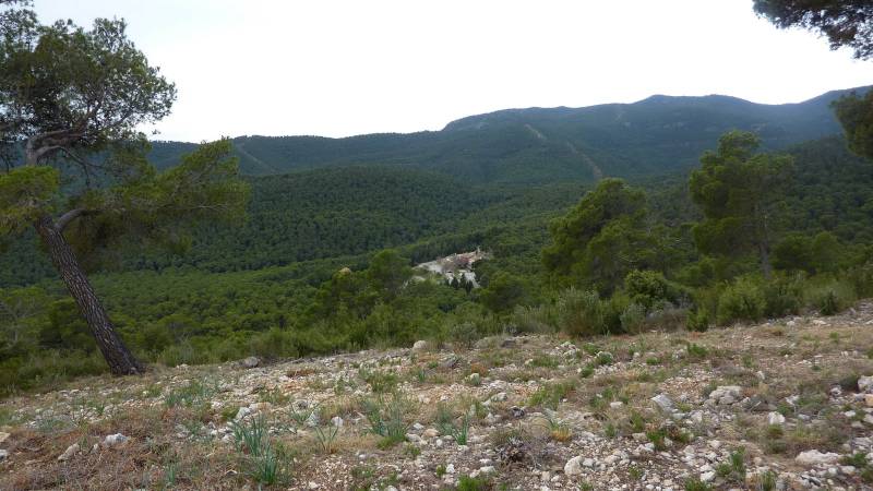 2_Vuelta_perdiz (12).jpg