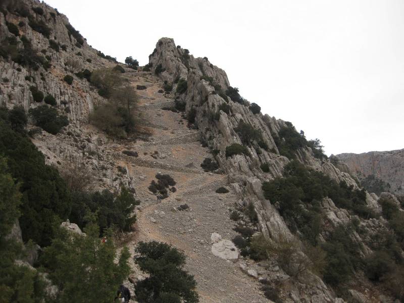2_Vuelta_perdiz (14).jpg