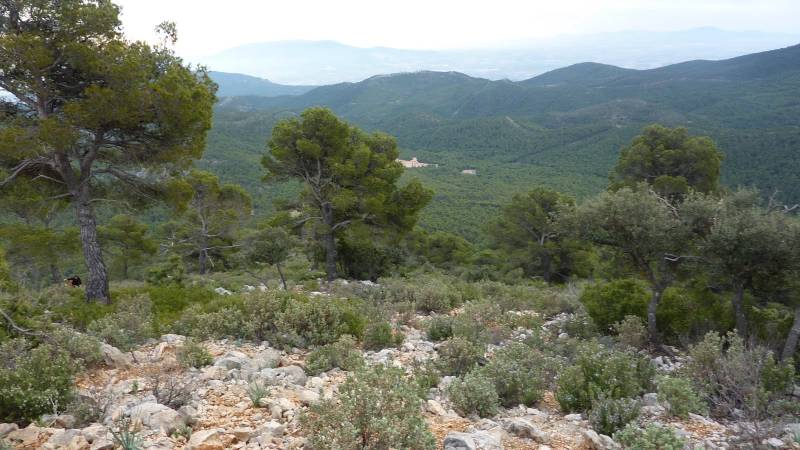 2_Vuelta_perdiz (17).jpg