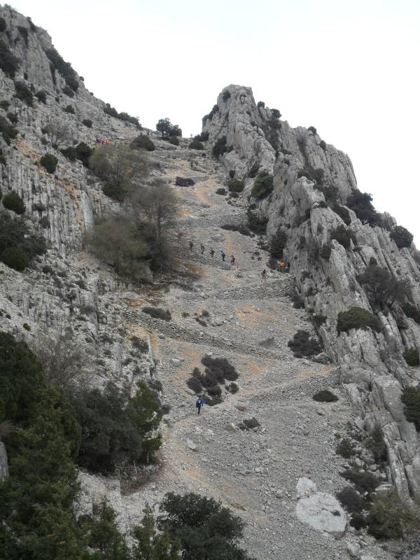 2_Vuelta_perdiz (2).jpg