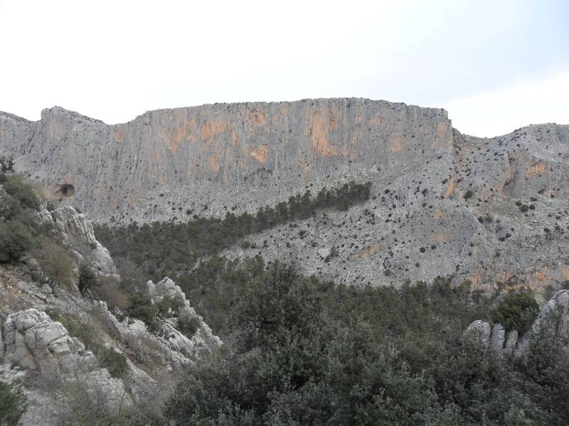 2_Vuelta_perdiz (3).jpg