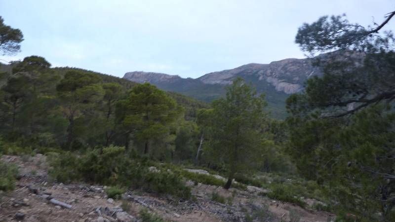 2_Vuelta_perdiz (4).jpg