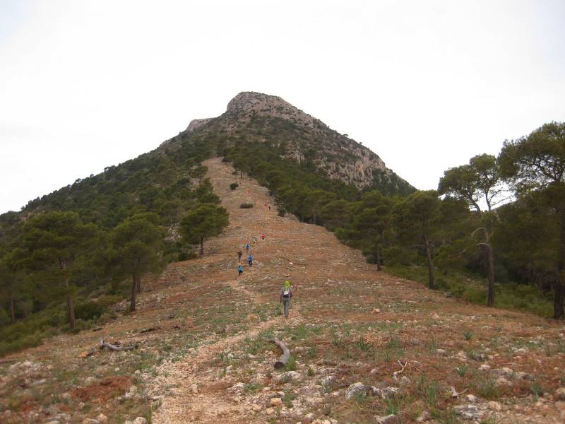 2_Vuelta_perdiz (6).jpg