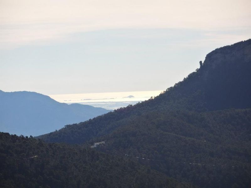 00_522032_373770552736789_646639329_n.jpg