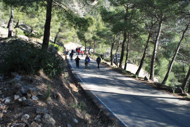 morron 2013 (17).jpg