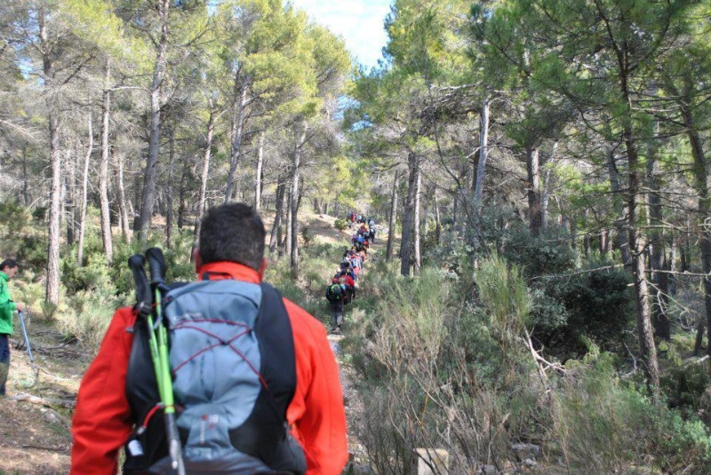 morron 2013 (18).jpg