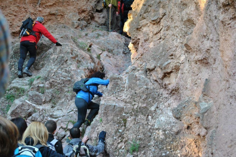morron 2013 (22).jpg