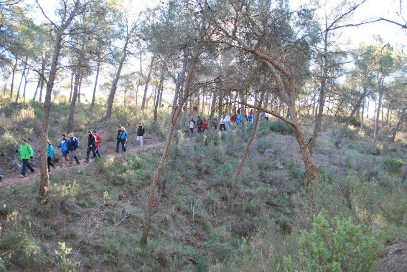 morron 2013 (25).jpg