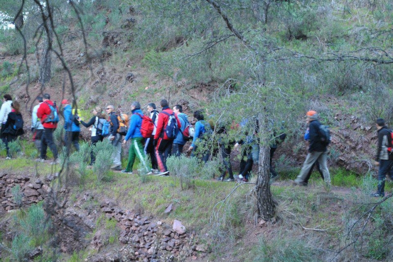 morron 2013 (27).jpg