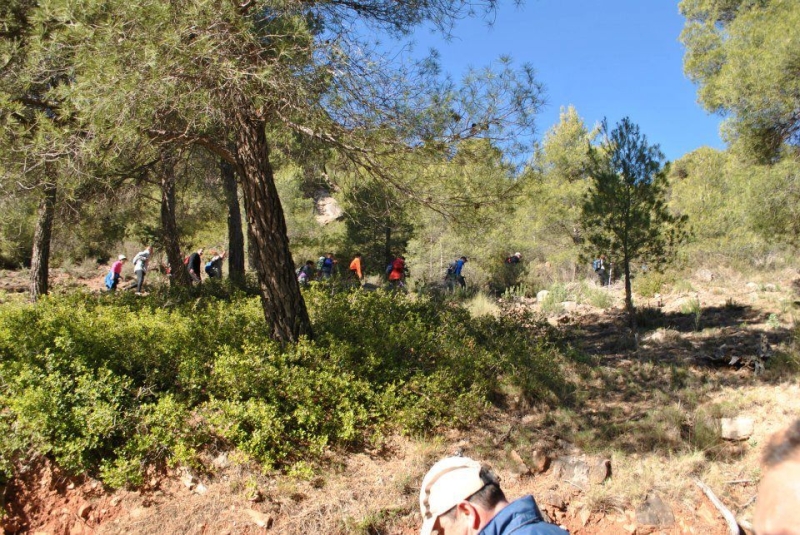 morron 2013 (30).jpg