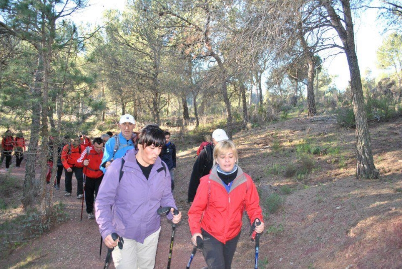 morron 2013 (34).jpg