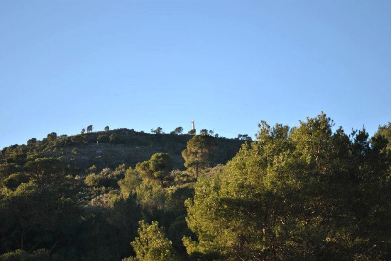 morron 2013 (37).jpg
