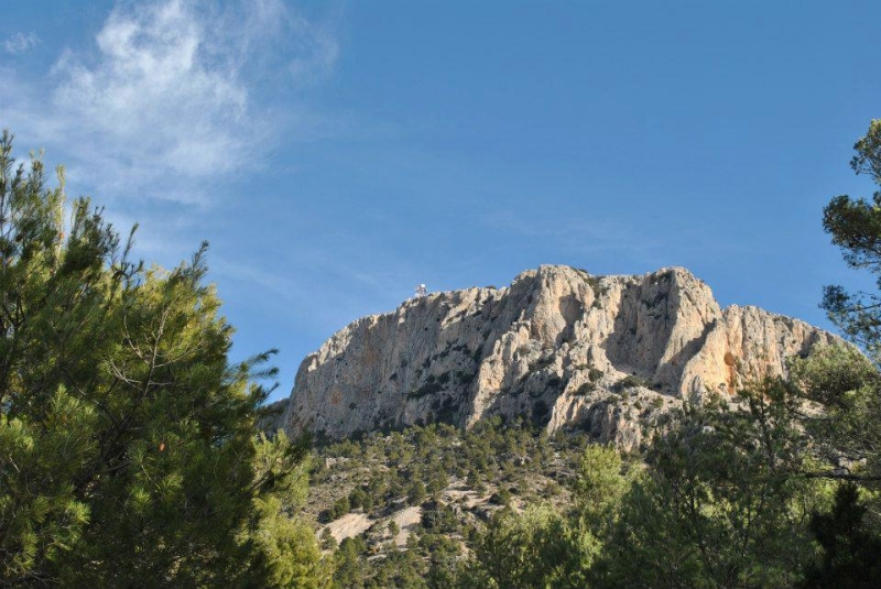 morron 2013 (38).jpg