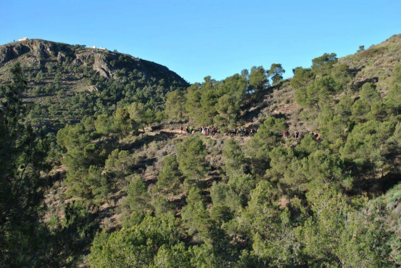 morron 2013 (41).jpg