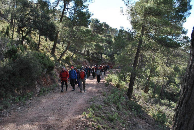 morron 2013 (44).jpg