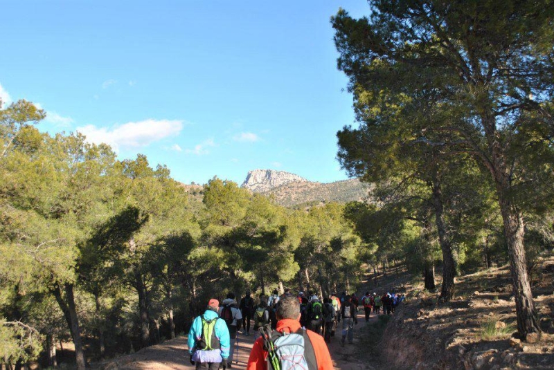 morron 2013 (45).jpg