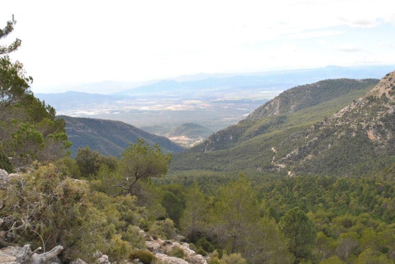 morron 2013 (46).jpg