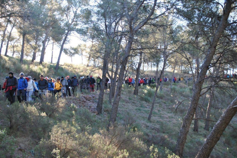 morron 2013 (48).jpg