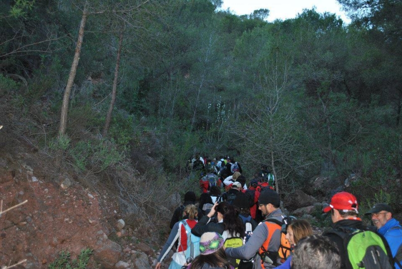 morron 2013 (49).jpg