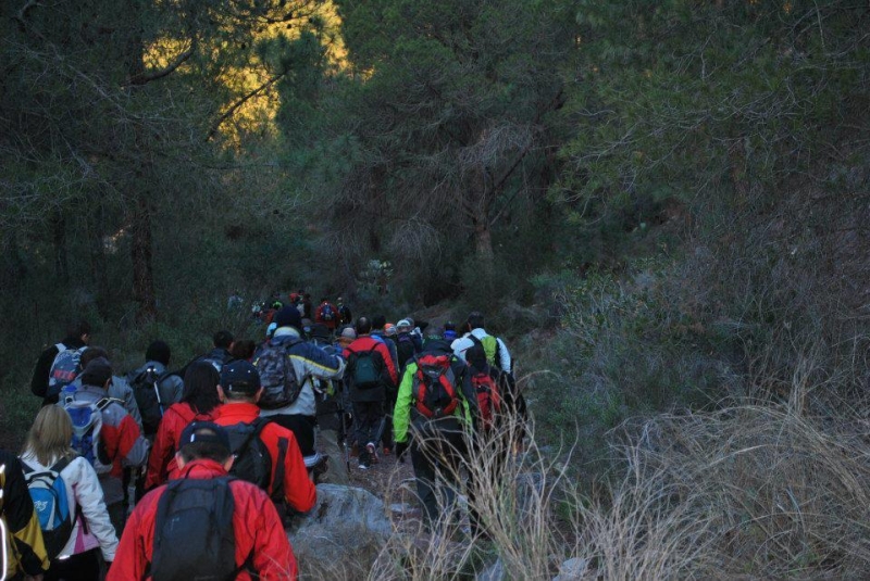 morron 2013 (7).jpg