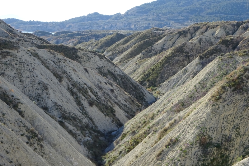 Ruta Flojeras Librilla 2020.19.jpg