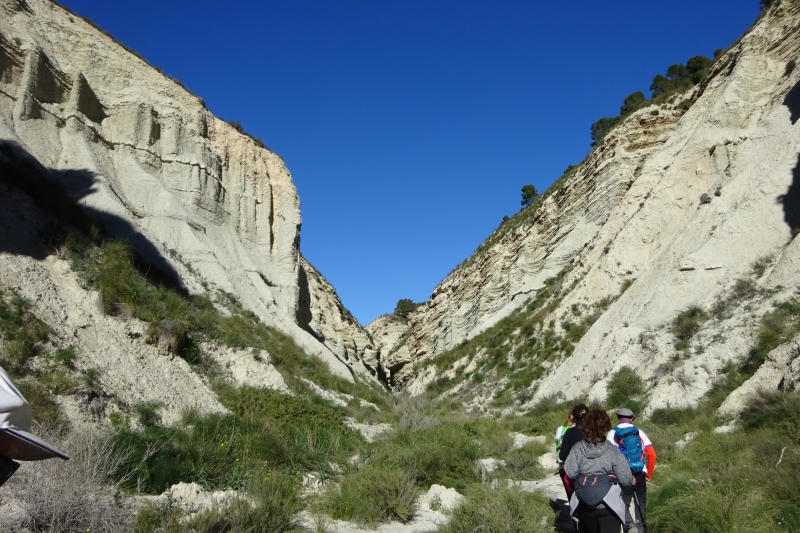 Ruta Flojeras Librilla 2020.54.jpg